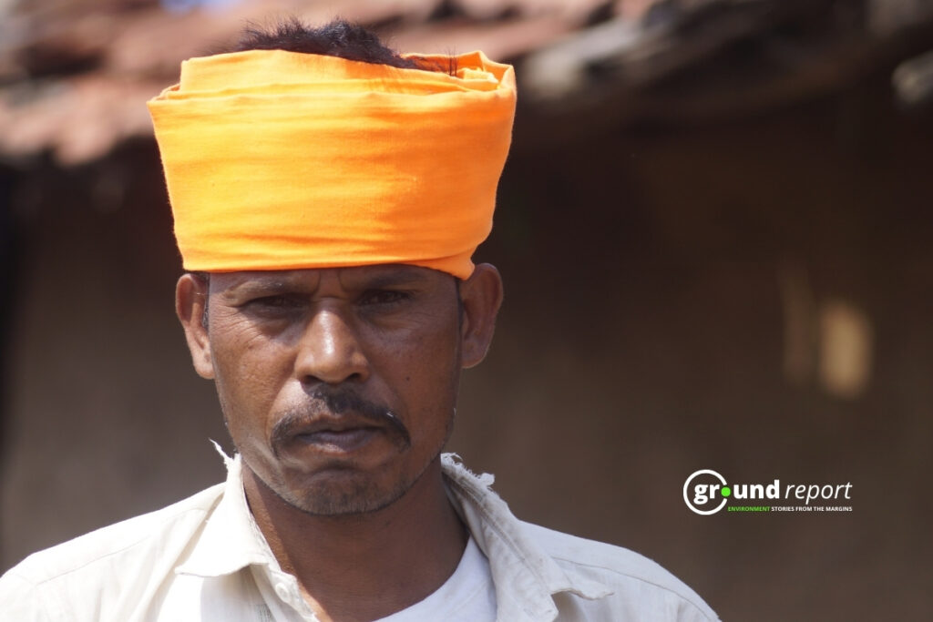 cattle fodder story jhabua el nino