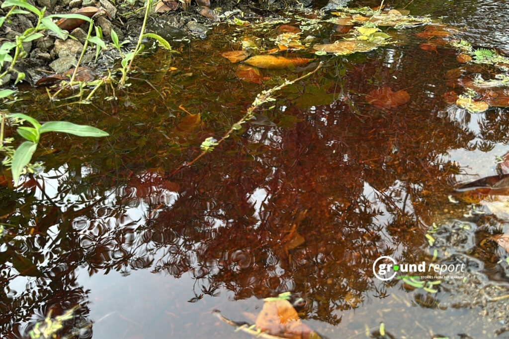 meghnagar Pollution Story 8
