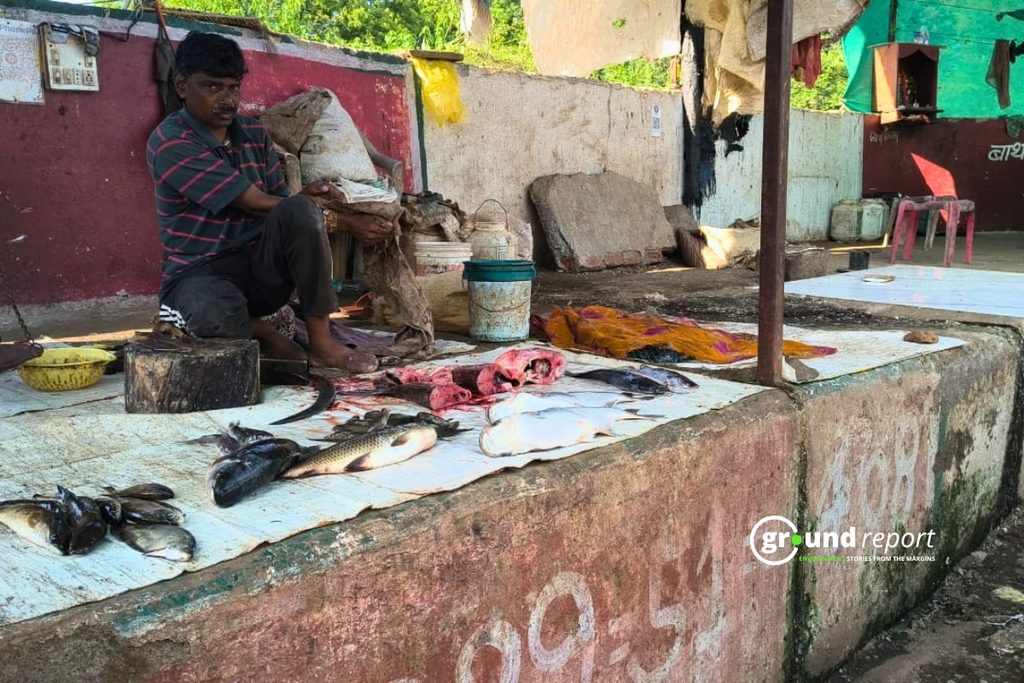 राजगढ़ के मछली बाज़ार में विभिन्न प्रकार की मछलियों के विक्रेता | फोटो: अब्दुल वसीम अंसारी