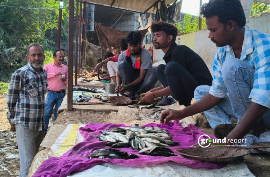 Thai Magur on Sale at a Fish Market in Rajgarh, Madhya Pradesh | Photo by Abdul Wasim Ansari