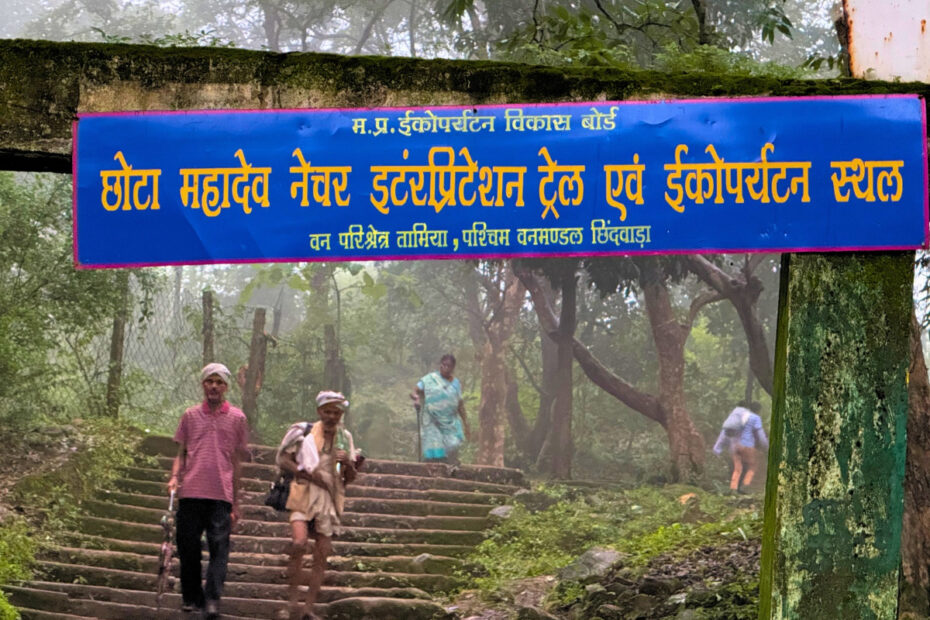 बढ़ते पर्यटन और नए इंफ्रास्ट्रक्चर के बीच पचमढ़ी और तामिया में संरक्षण और विकास के संतुलन पर सवाल